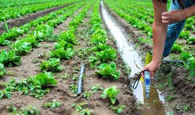 Irrigation Field Laboratory